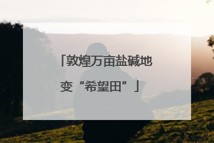 敦煌万亩盐碱地变“希望田”