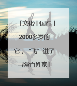 文化中国行丨2000多岁的它，“飞”进了寻常百姓家