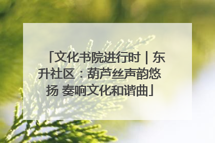 文化书院进行时｜东升社区：葫芦丝声韵悠扬 奏响文化和谐曲