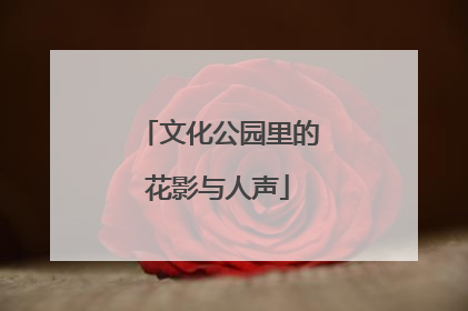 文化公园里的花影与人声