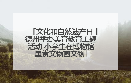 文化和自然遗产日丨德州举办美育教育主题活动 小学生在博物馆里赏文物画文物
