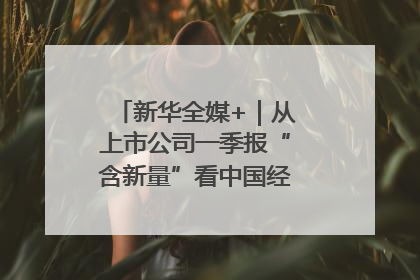 新华全媒+｜从上市公司一季报“含新量”看中国经济发展向“新”