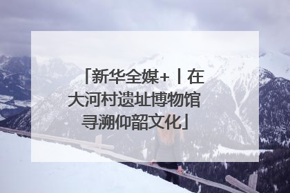 新华全媒+丨在大河村遗址博物馆寻溯仰韶文化