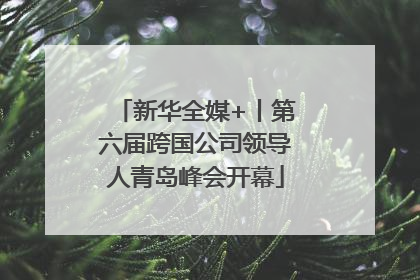 新华全媒+丨第六届跨国公司领导人青岛峰会开幕