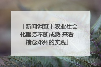 新闻调查丨农业社会化服务不断成熟 来看粮仓邓州的实践