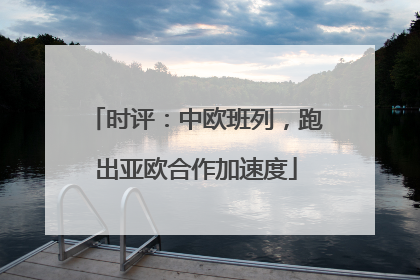 时评：中欧班列，跑出亚欧合作加速度