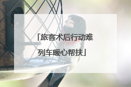 旅客术后行动难 列车暖心帮扶