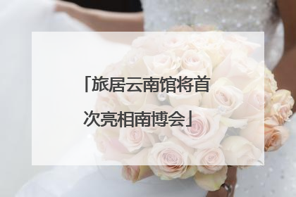 旅居云南馆将首次亮相南博会