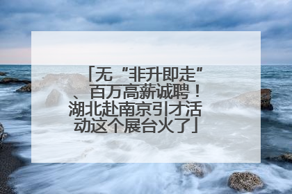 无“非升即走”、百万高薪诚聘！湖北赴南京引才活动这个展台火了