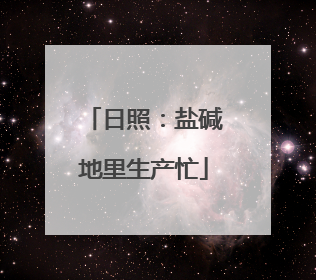 日照：盐碱地里生产忙