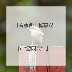春京西：畅享双节“游园会”