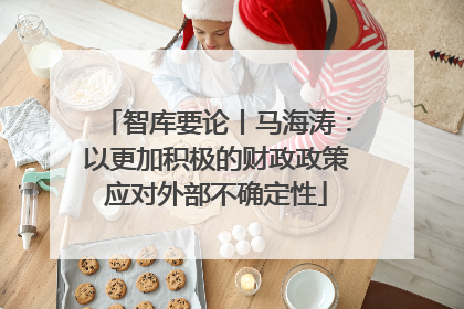 智库要论丨马海涛：以更加积极的财政政策应对外部不确定性