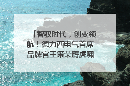 智驭时代，创变领航！德力西电气首席品牌官王策荣膺虎啸奖年度品牌人物