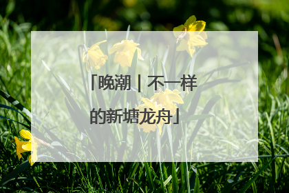 晚潮｜不一样的新塘龙舟