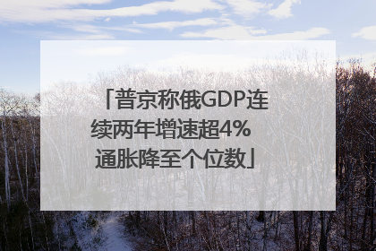 普京称俄GDP连续两年增速超4% 通胀降至个位数