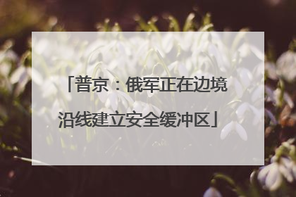 普京：俄军正在边境沿线建立安全缓冲区