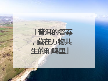 普洱的答案，藏在万物共生的和鸣里