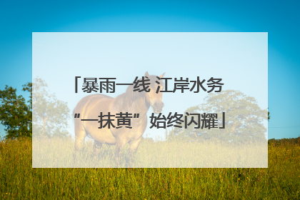 暴雨一线 江岸水务“一抹黄”始终闪耀