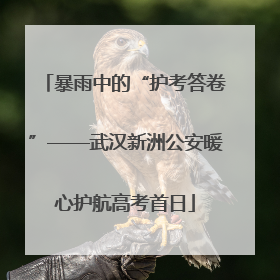 暴雨中的“护考答卷”——武汉新洲公安暖心护航高考首日
