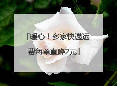 暖心！多家快递运费每单直降2元