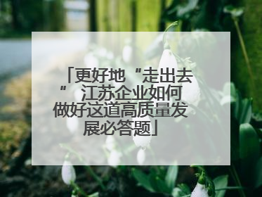 更好地“走出去” 江苏企业如何做好这道高质量发展必答题