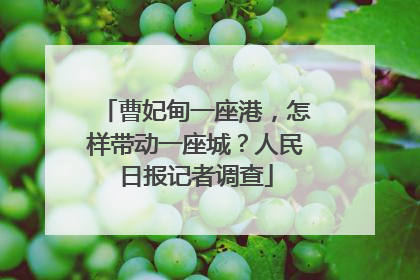 曹妃甸一座港，怎样带动一座城？人民日报记者调查