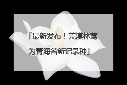 最新发布！荒漠林莺为青海省新记录种