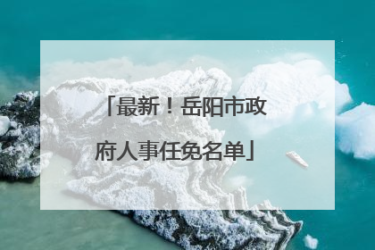 最新！岳阳市政府人事任免名单