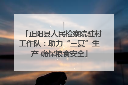 正阳县人民检察院驻村工作队：助力“三夏”生产 确保粮食安全
