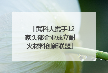 武科大携手12家头部企业成立耐火材料创新联盟
