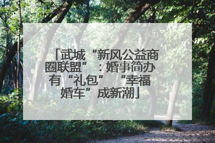 武城“新风公益商圈联盟”：婚事简办有“礼包” “幸福婚车”成新潮