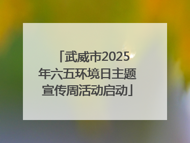 武威市2025年六五环境日主题宣传周活动启动