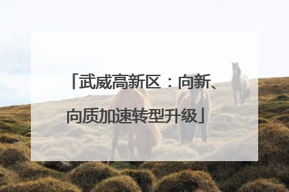 武威高新区：向新、向质加速转型升级