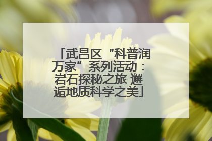 武昌区“科普润万家”系列活动：岩石探秘之旅 邂逅地质科学之美