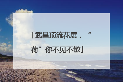 武昌顶流花展，“荷”你不见不散