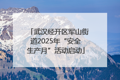 武汉经开区军山街道2025年“安全生产月”活动启动