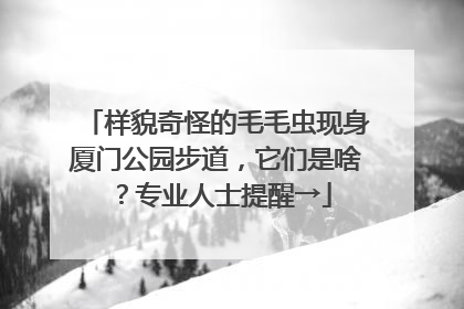 样貌奇怪的毛毛虫现身厦门公园步道，它们是啥？专业人士提醒→