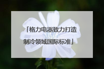 格力电器致力打造制冷领域国际标准