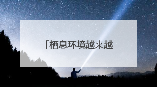 栖息环境越来越好 多种夏候鸟陆续来厦恋爱生娃