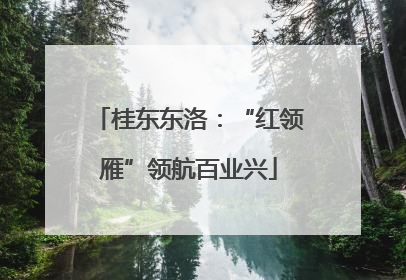 桂东东洛：“红领雁”领航百业兴