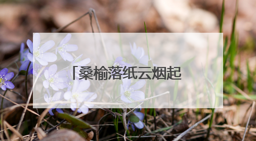 桑榆落纸云烟起 为霞入砚桃李香——溆浦县老年书画协会到统溪河镇学校开展书画进校园活动