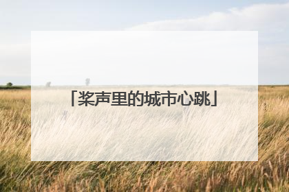 桨声里的城市心跳