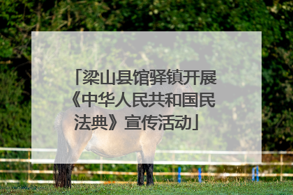 梁山县馆驿镇开展《中华人民共和国民法典》宣传活动