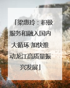 梁惠玲：积极服务和融入国内大循环 加快推动龙江高质量振兴发展