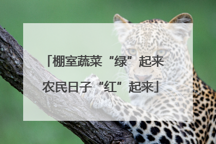 棚室蔬菜“绿”起来 农民日子“红”起来