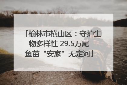 榆林市横山区：守护生物多样性 29.5万尾鱼苗“安家”无定河