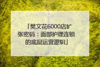 樊文花6000店扩张密码：面部护理连锁的底层运营逻辑