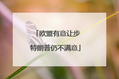 欧盟有意让步 特朗普仍不满意