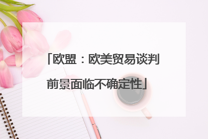 欧盟：欧美贸易谈判前景面临不确定性