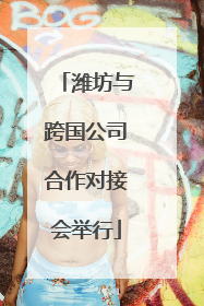 潍坊与跨国公司合作对接会举行